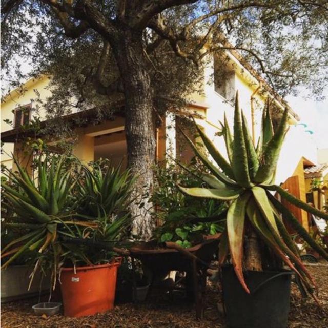 Rio Barca Bed And Breakfast Alghero Dış mekan fotoğraf